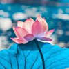 1. 打开微信，扫一扫左侧二维码