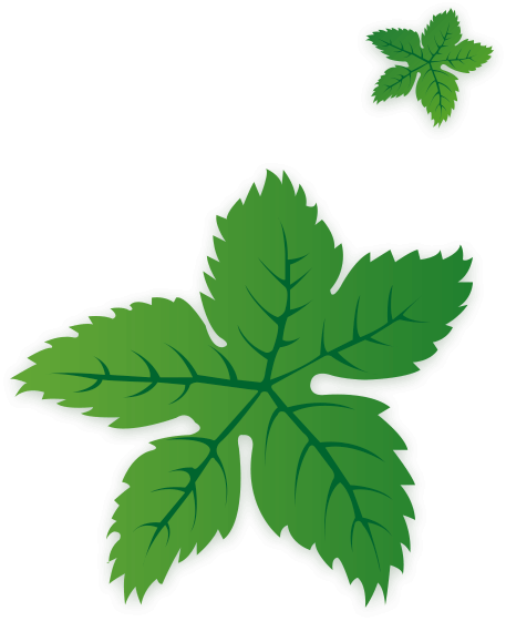 严管督学