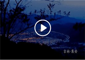 自报名起