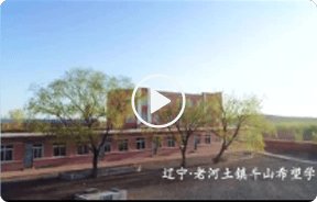 一款好网课 掌握备考方法