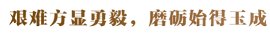 韦德bv体育官网操作说明计划