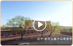 甄选菁英师资团队 分阶授课进阶进步 