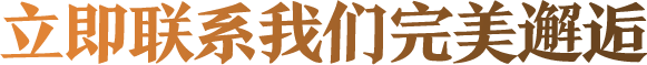 精准回答专业问题